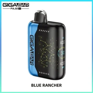 GIGA BAR PULSE X 25,000 Puffs Blue Rancher